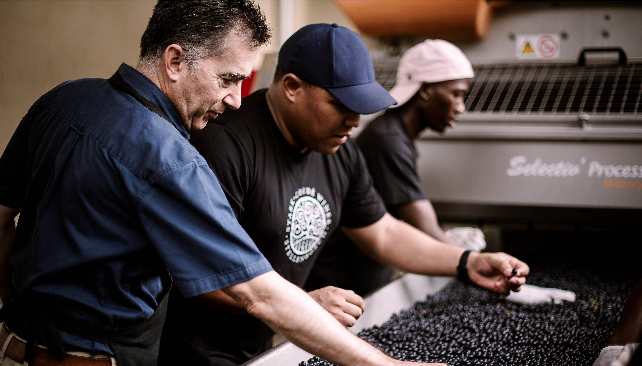 スターク・コンデ・ワインズ