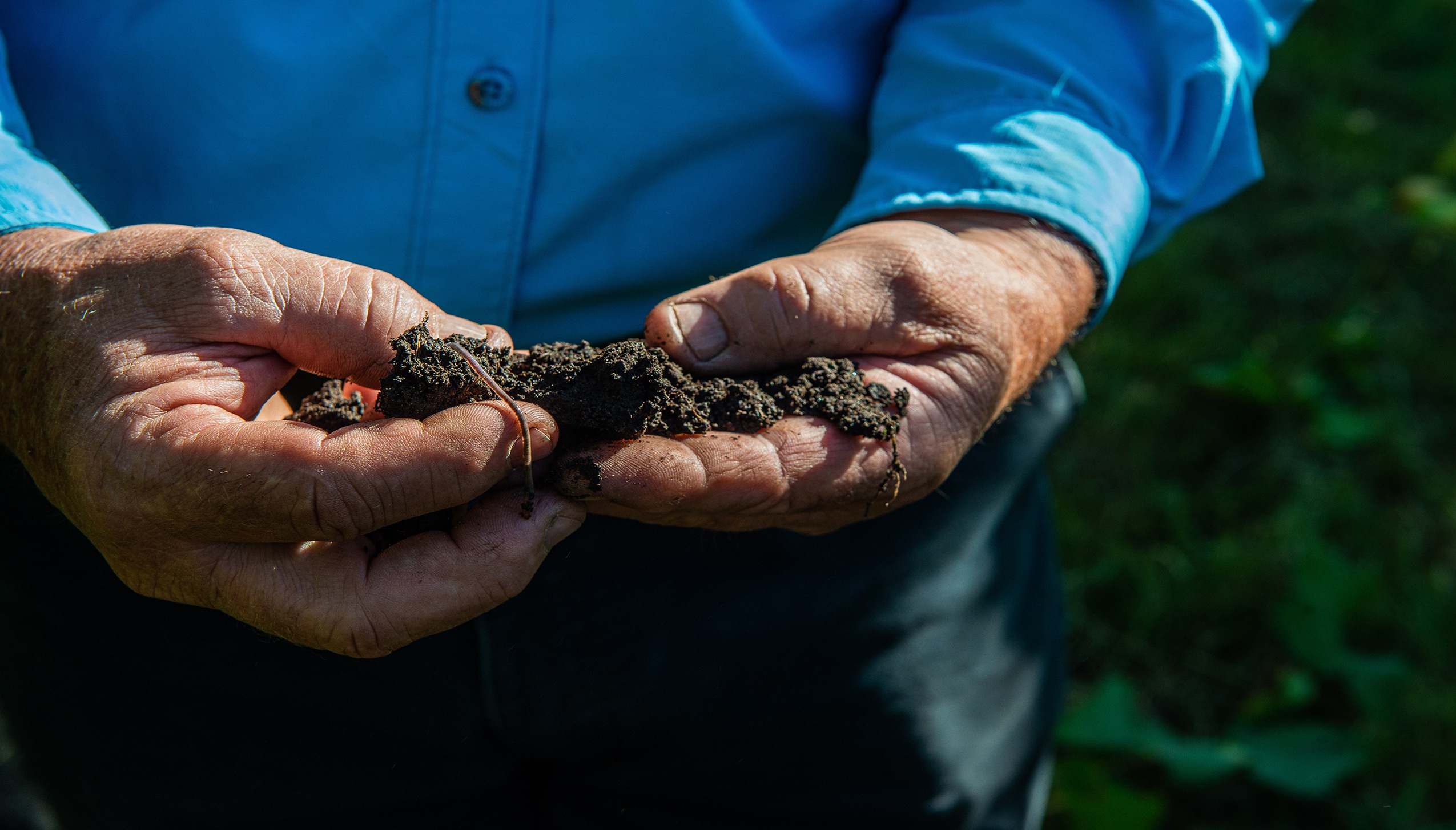 トルパドル生産者の手