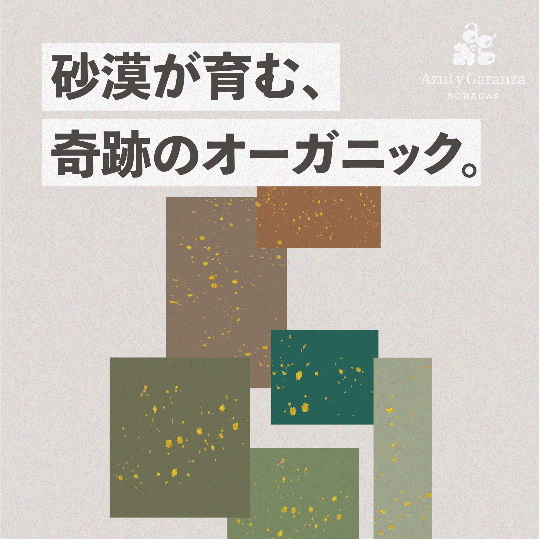 アスルイガランサ生産者ページ