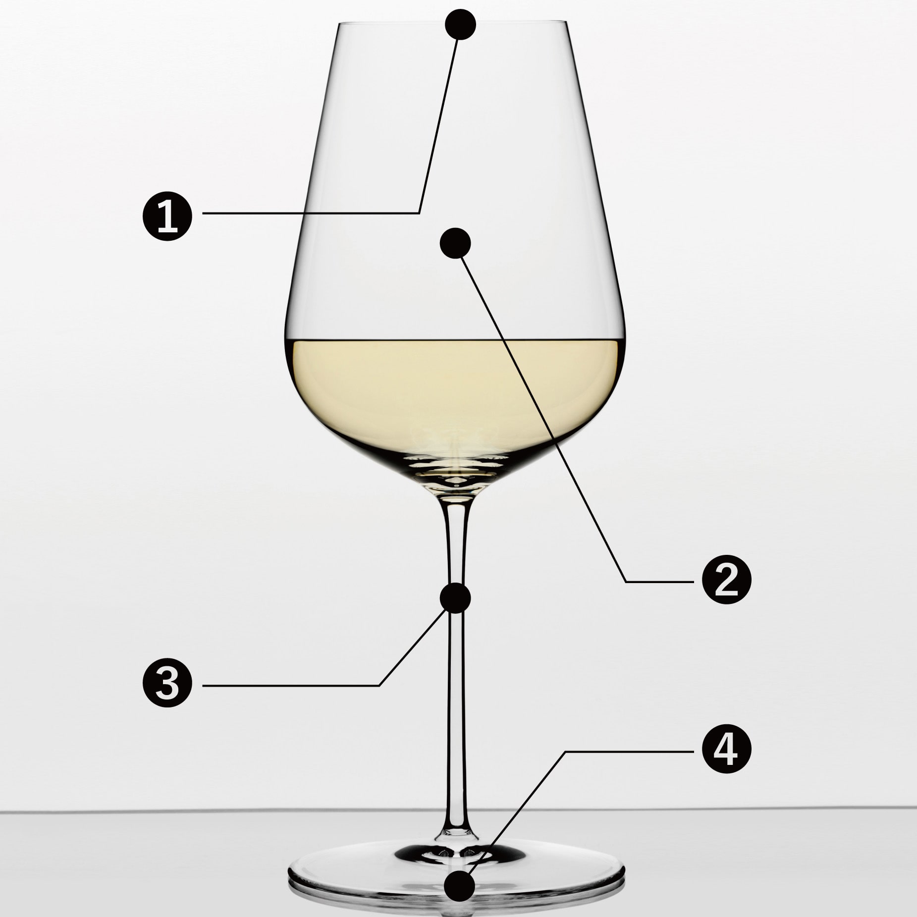 ワイングラスのパーツ説明