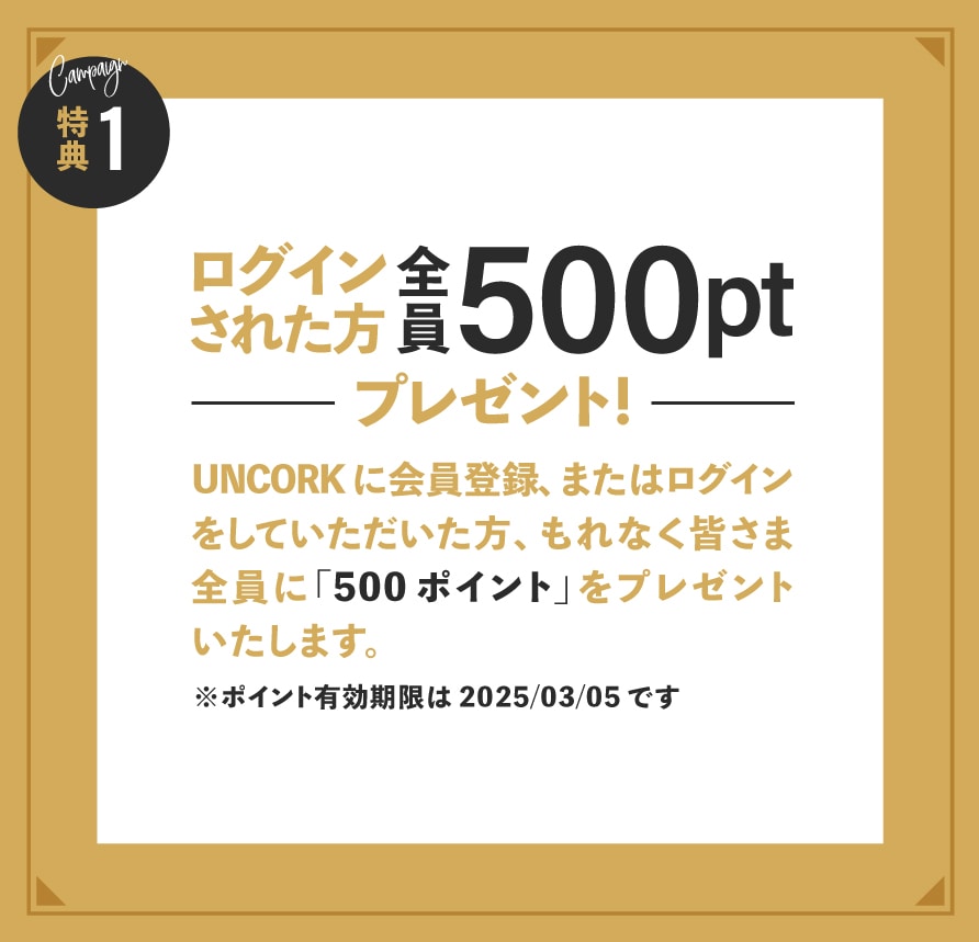 500ポイントプレゼント