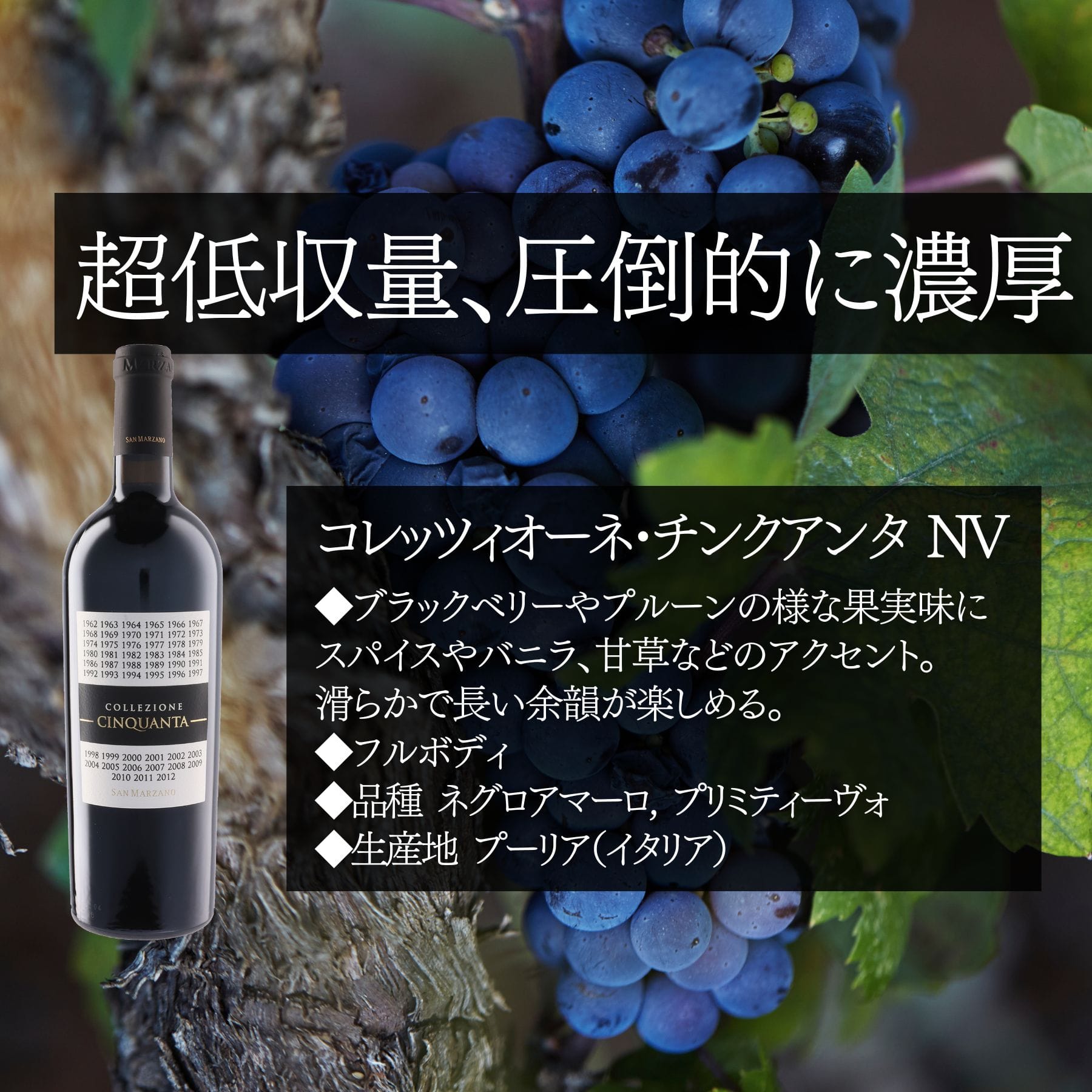 コレッツィオーネ･チンクアンタ