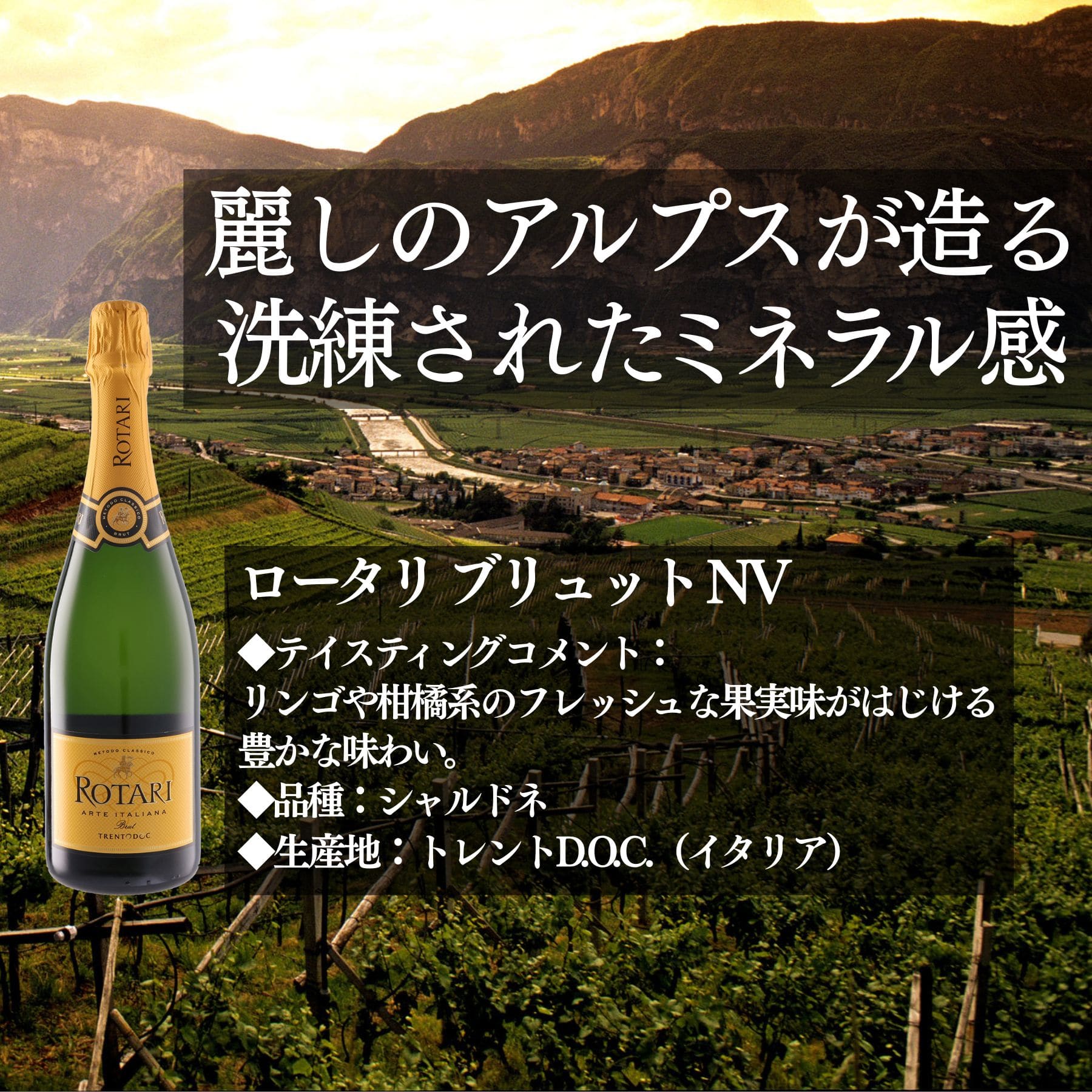 プロに最も売れたセット