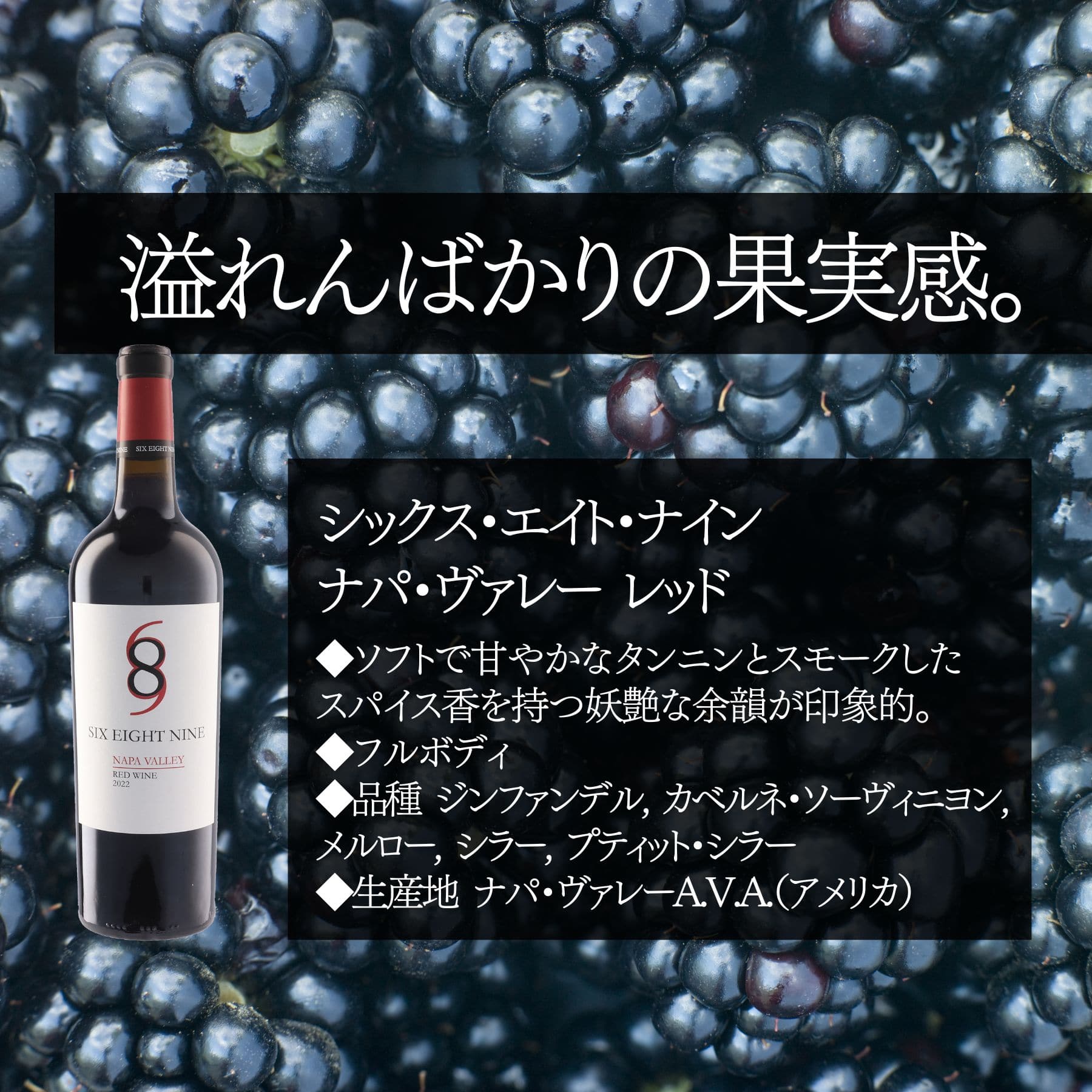 ベストセラーセット