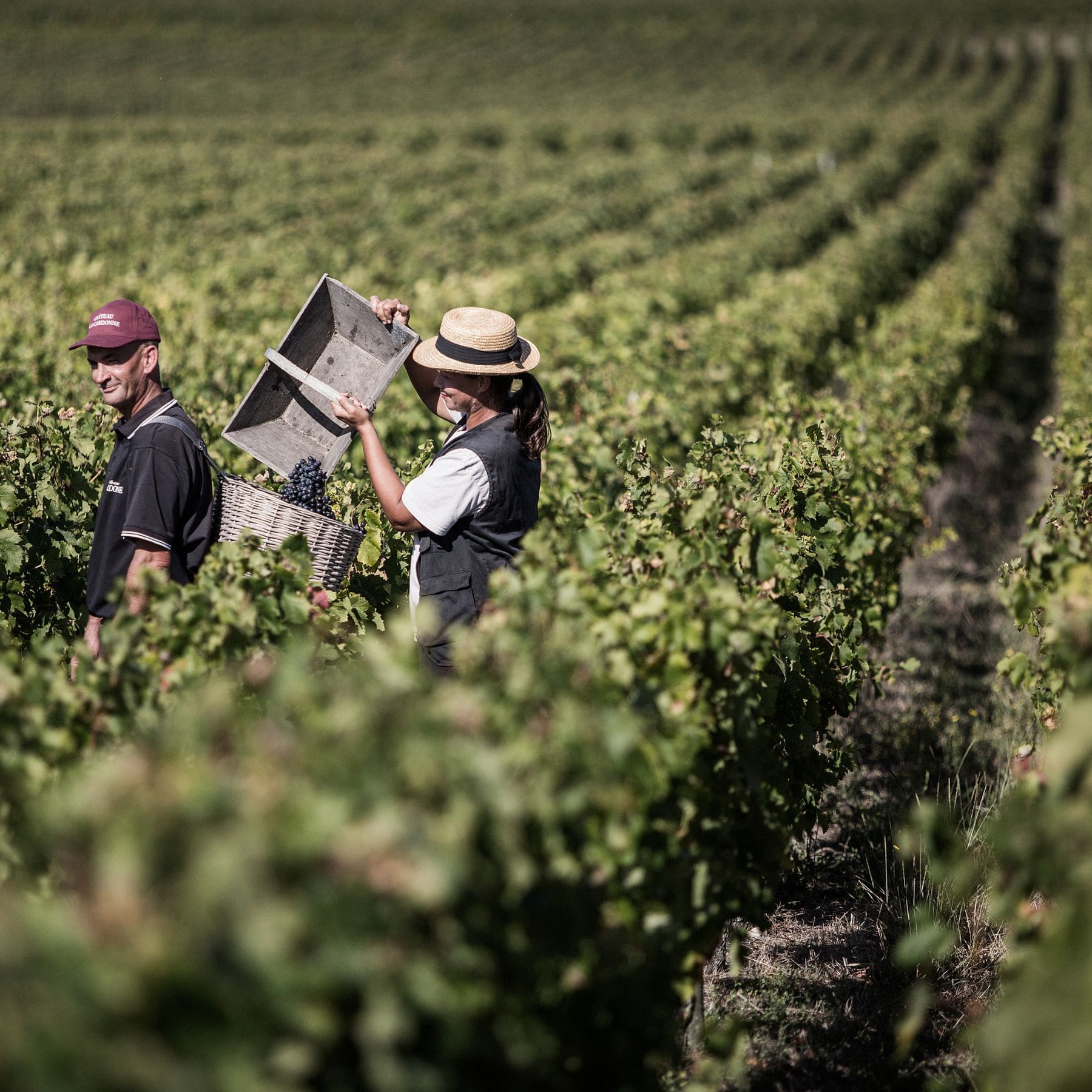 ラ・カルドンヌ