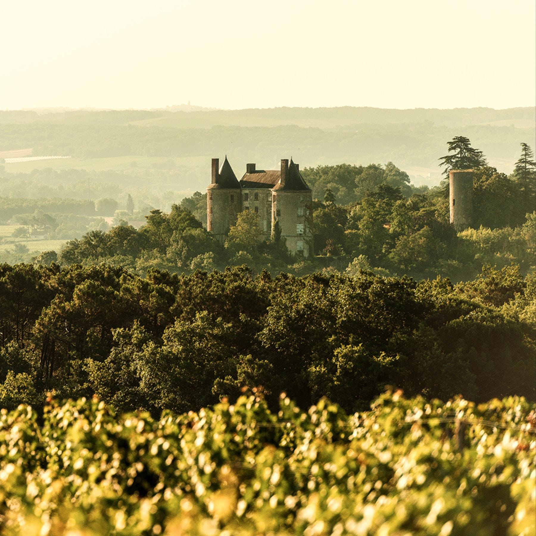 レ･ヴィニュロン･ド･ビュゼ