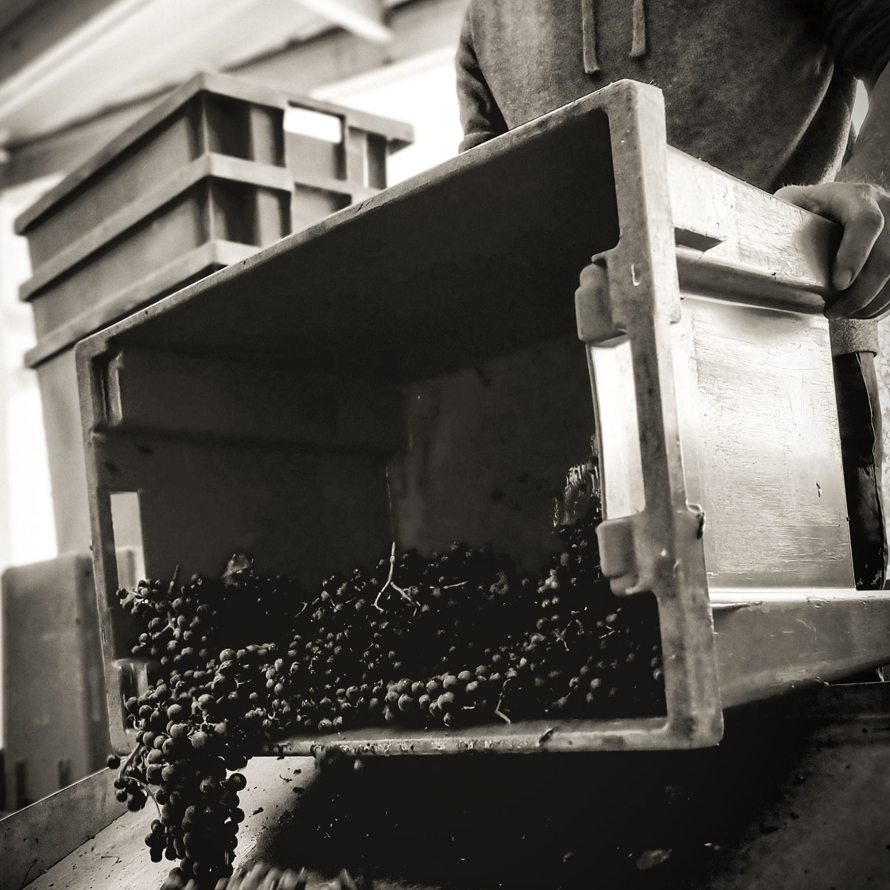 シャトー･プージェ