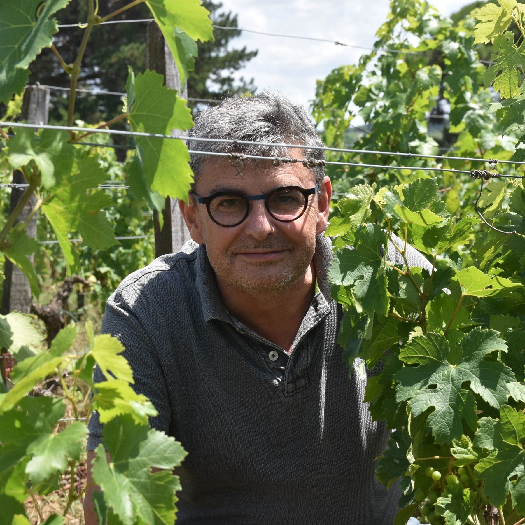 シャトー･プピーユ