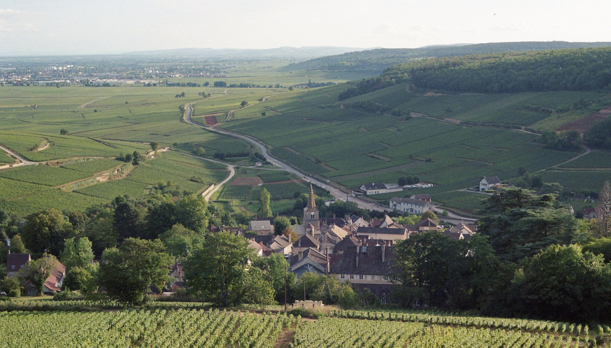 ペルナン・ベルジュレス