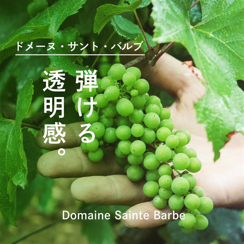 ドメーヌ・サント・バルブ