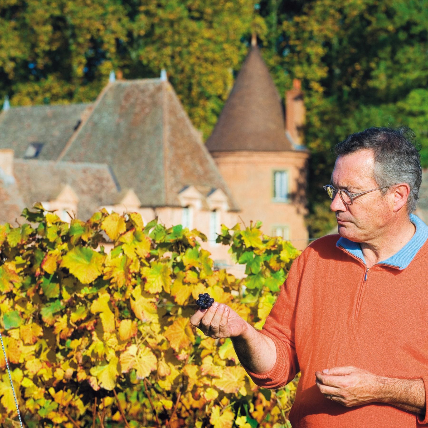 ピノ・ノワール／エルヴェ・ケルラン