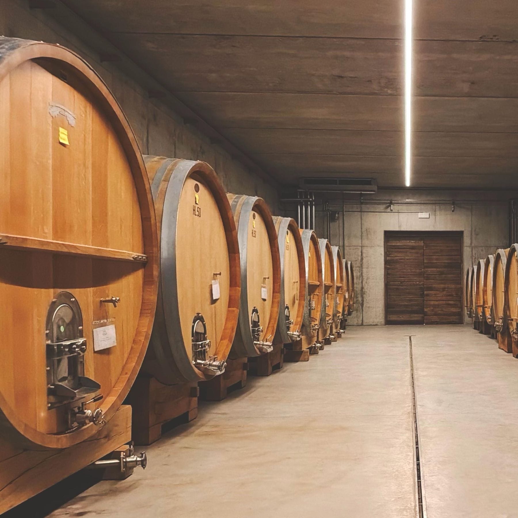 アゼリアのセラー