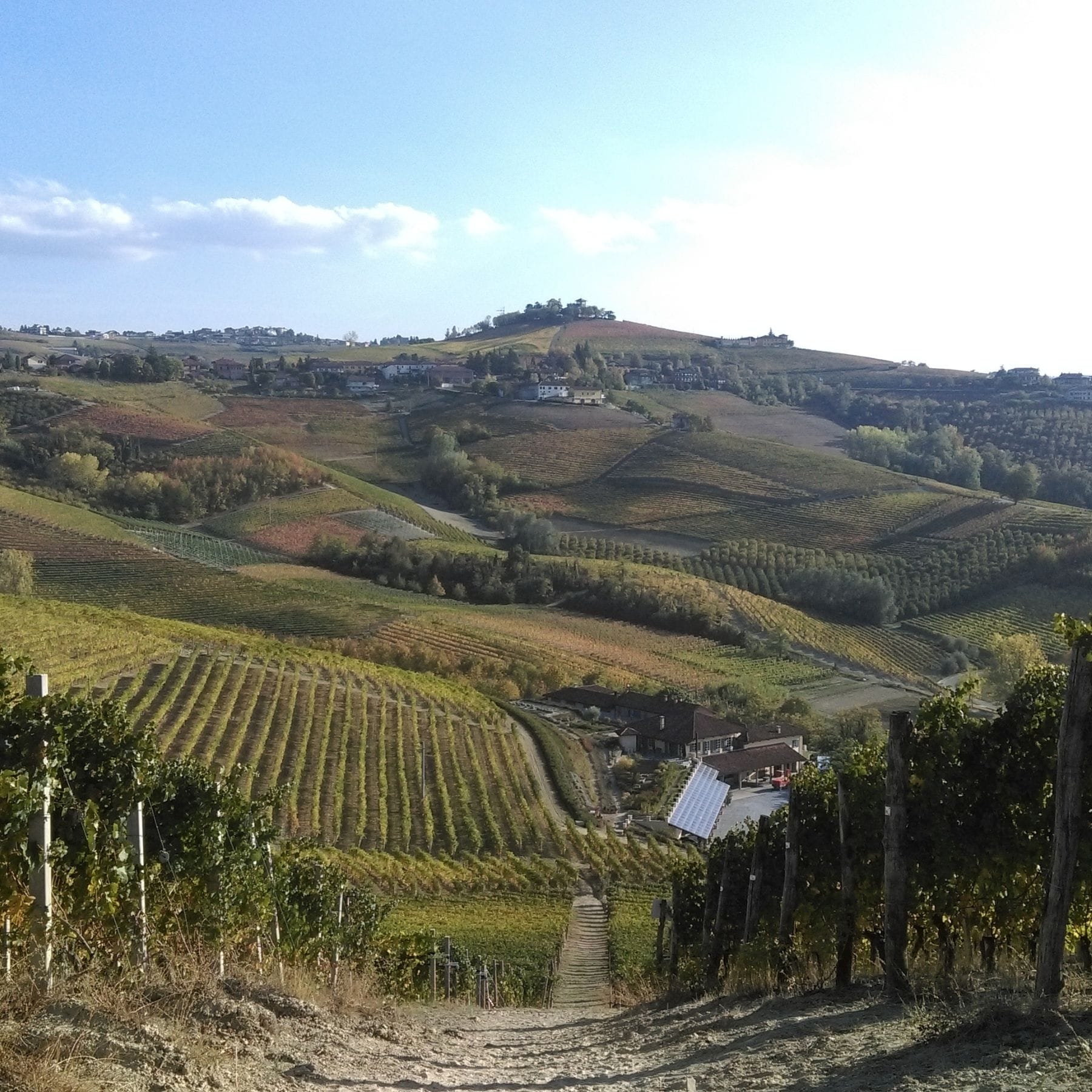 ピエモンテの風景