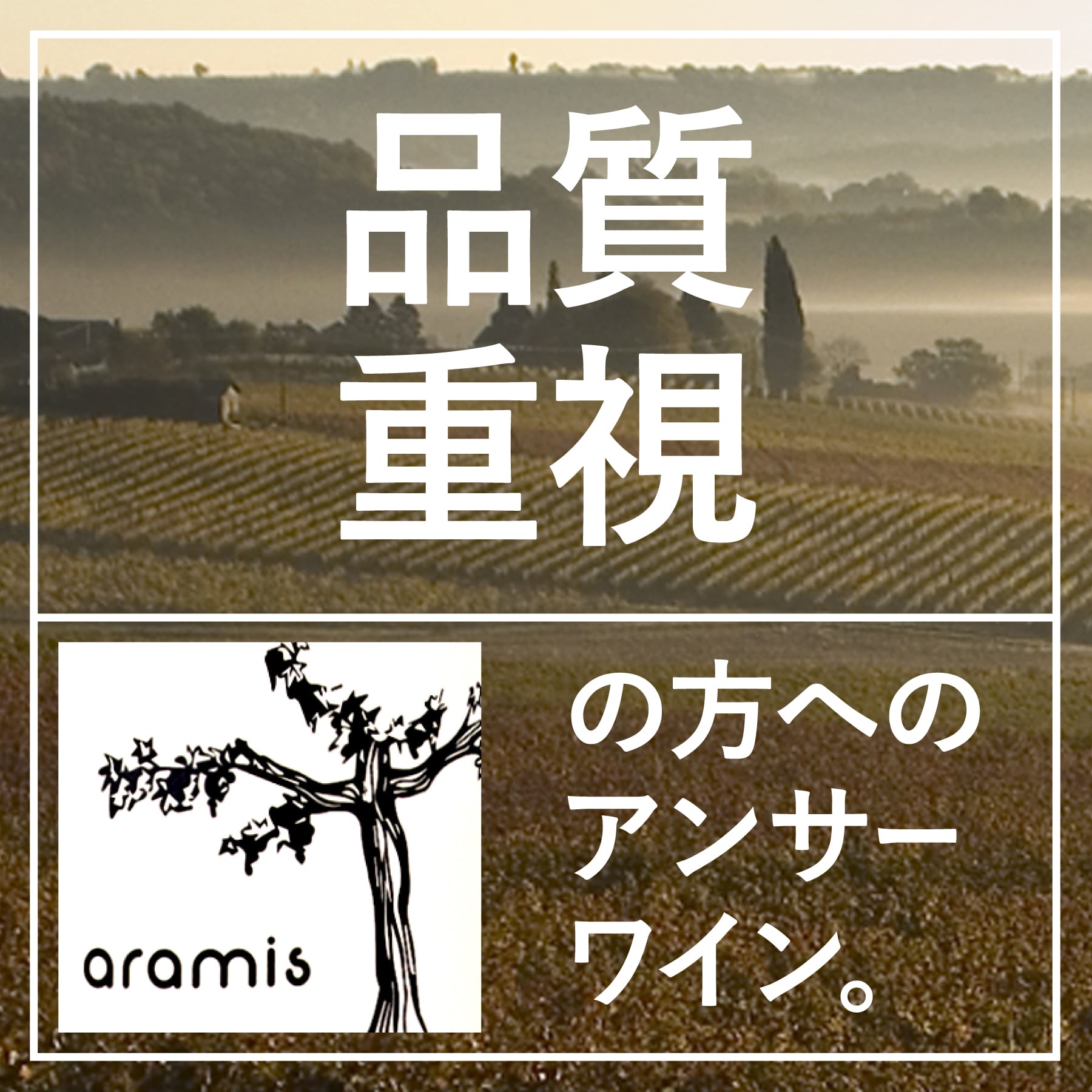 アラミス