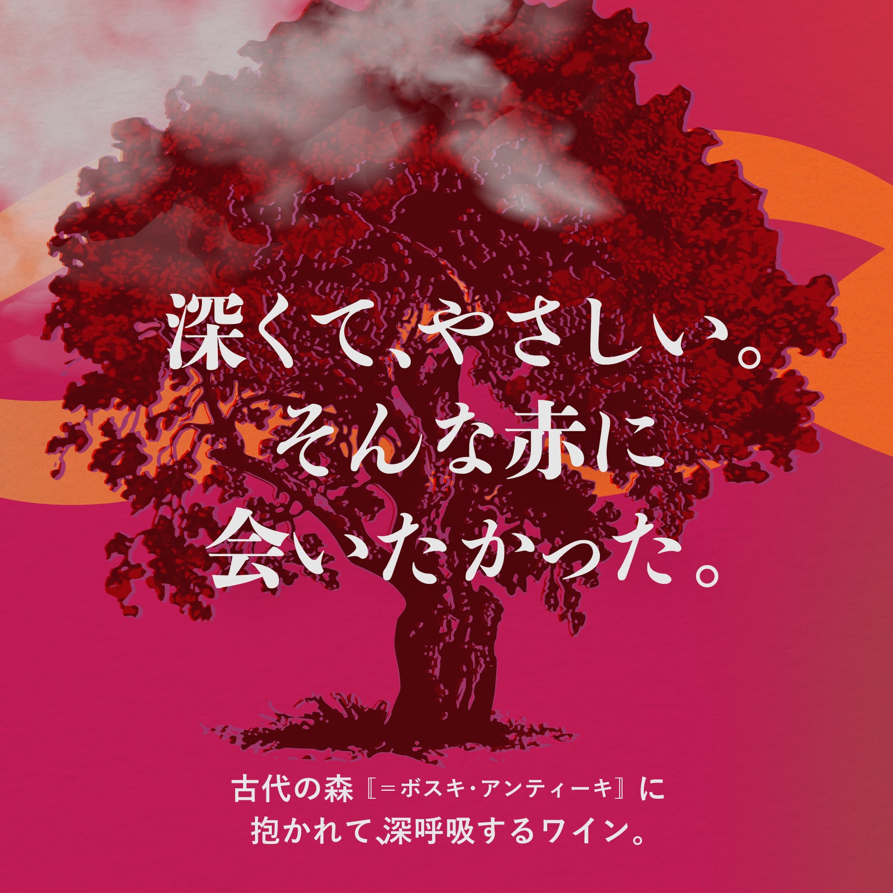 ボスキ･アンティーキ