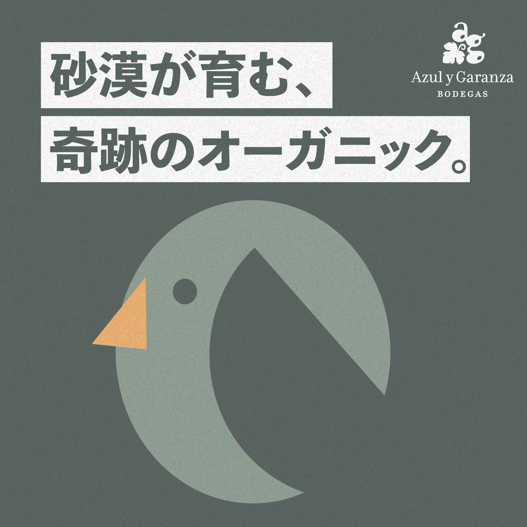 フィエスタ