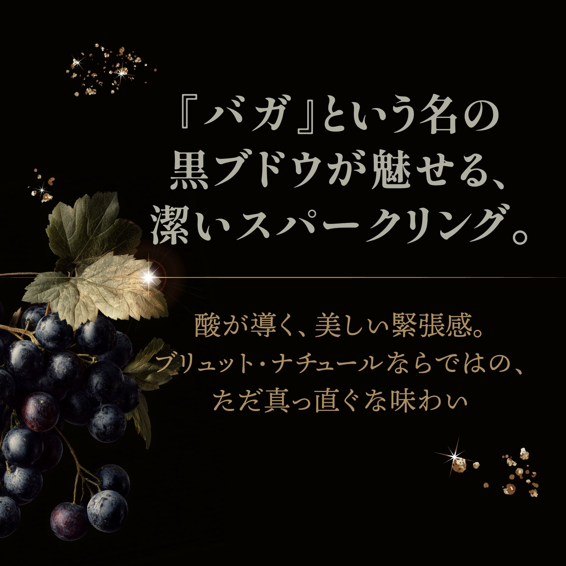 ボルリード バガ バイラーダ ブリュット･ナチュール NV