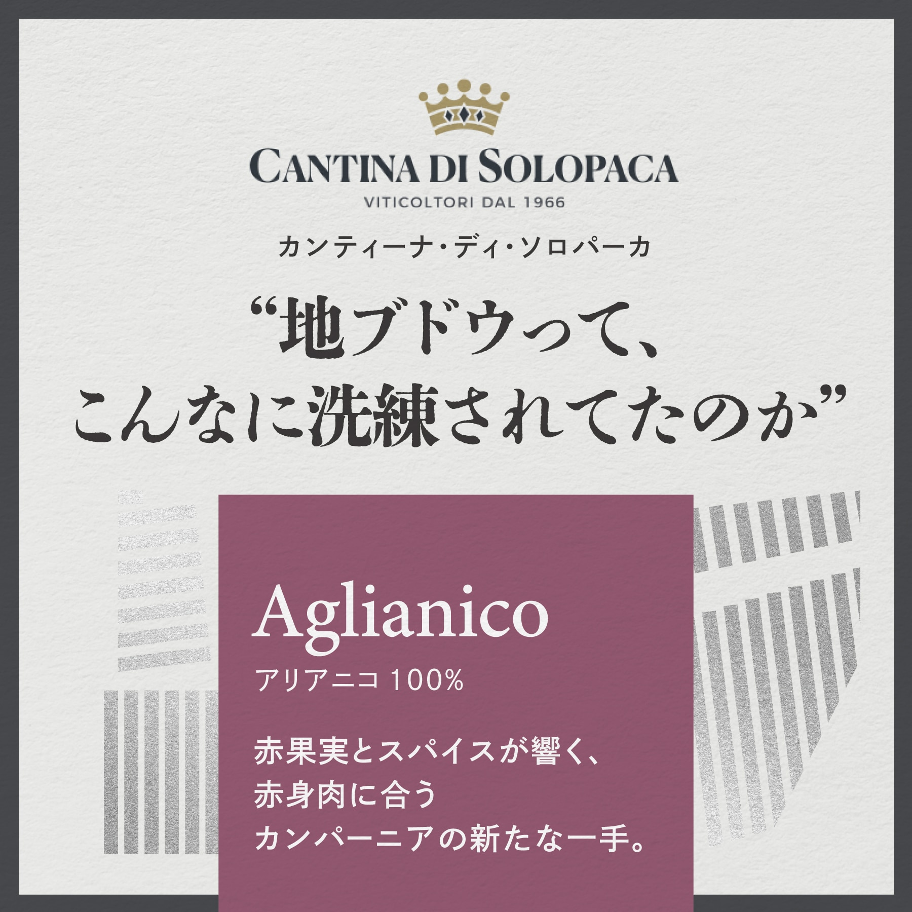 カンティーナ・ディ・ソロパーカ アリアニコ