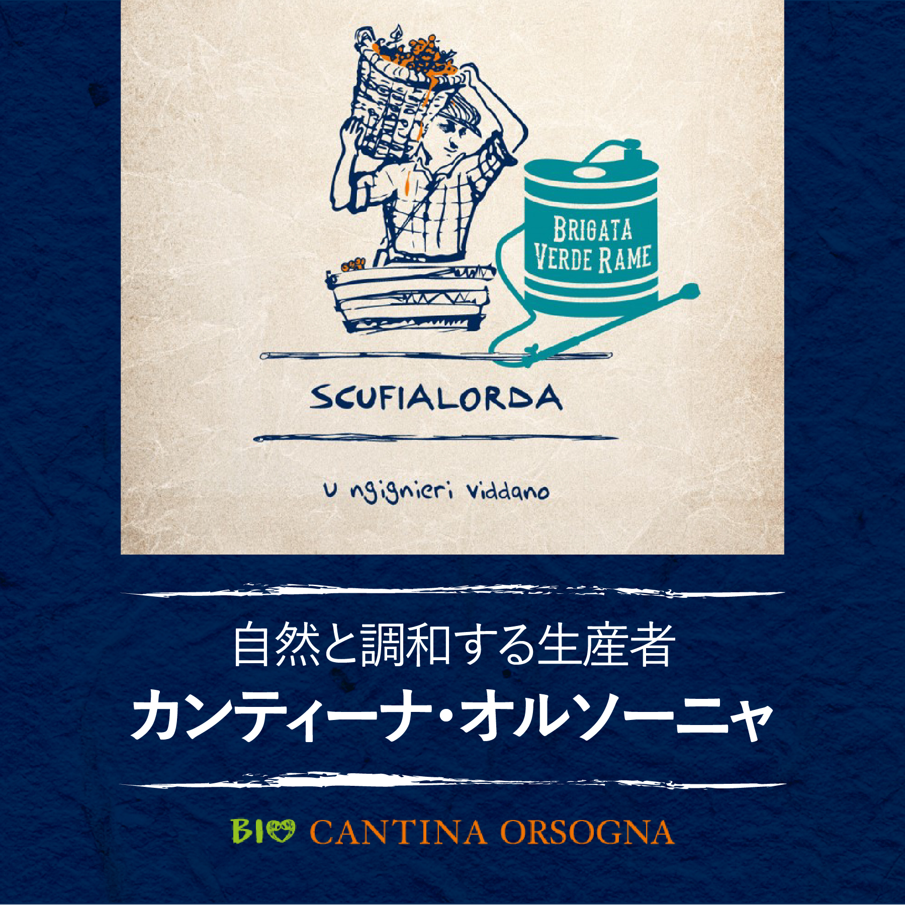 カンティーナ・オルソーニャ