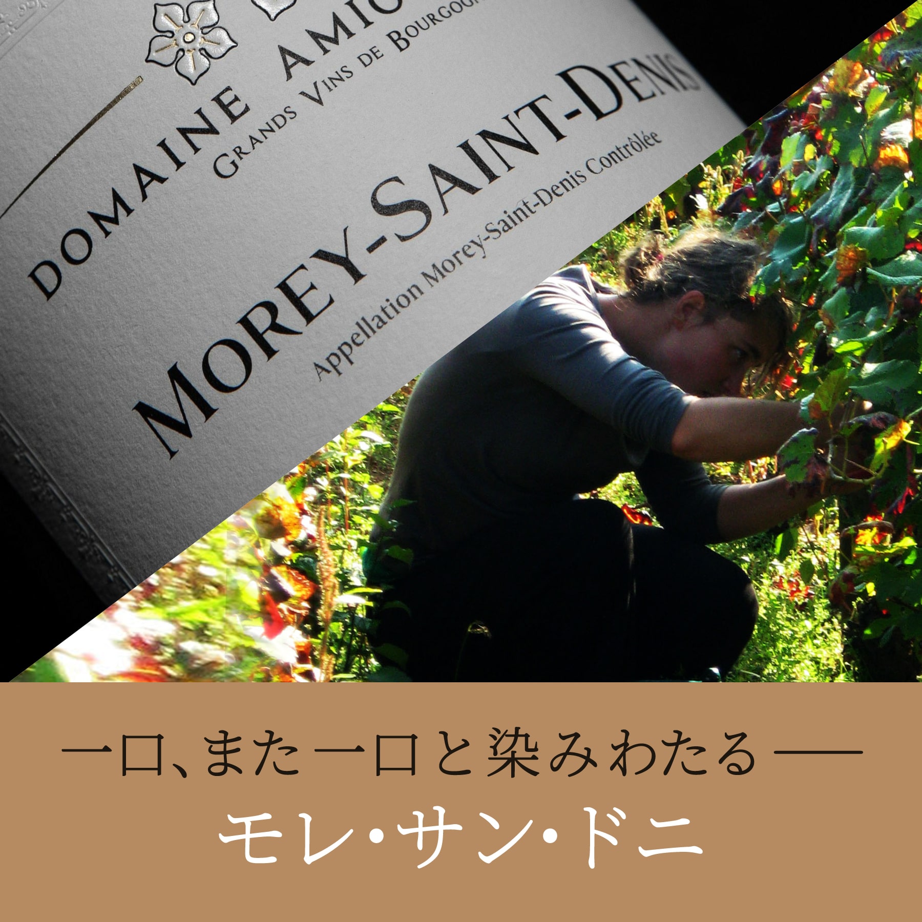 モレ・サン・ドニ