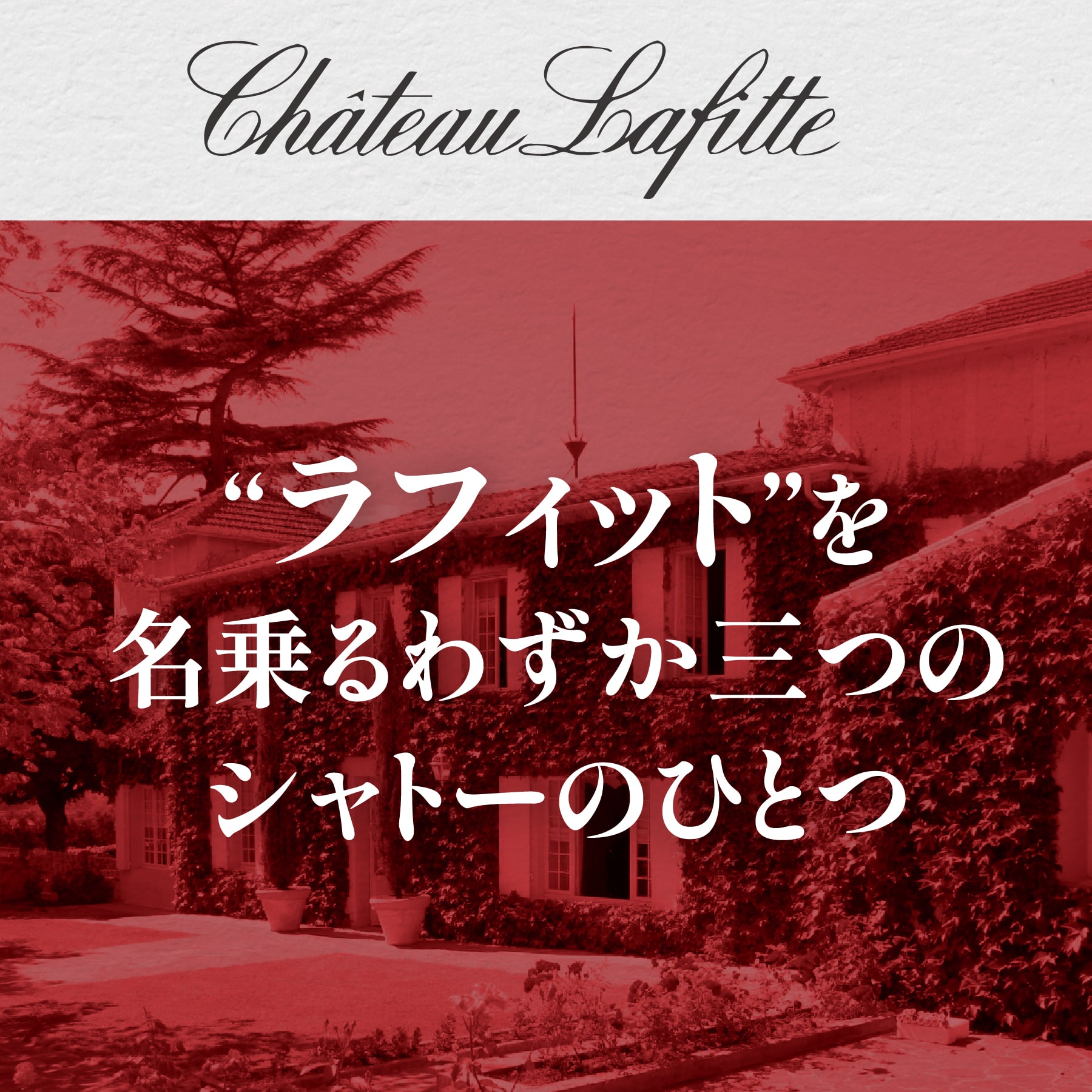 シャトー･ラフィット