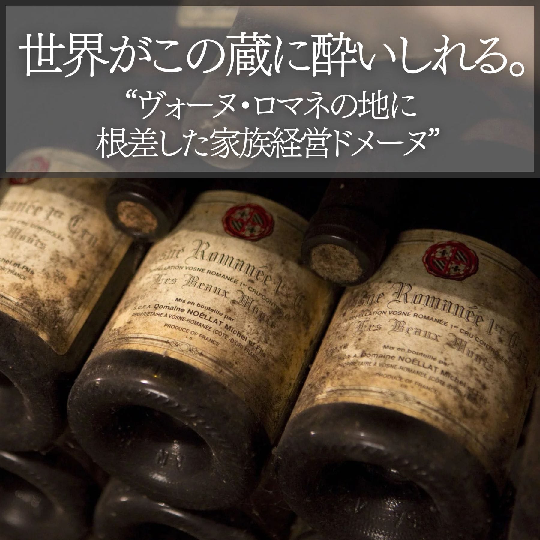 ドメーヌ・ミシェル・ノエラ