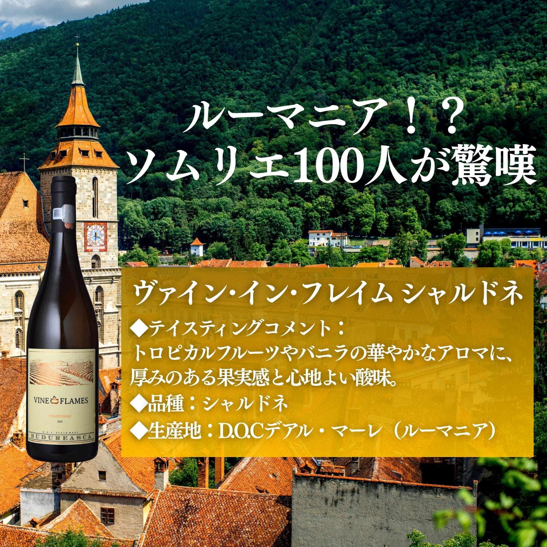 お値段以上