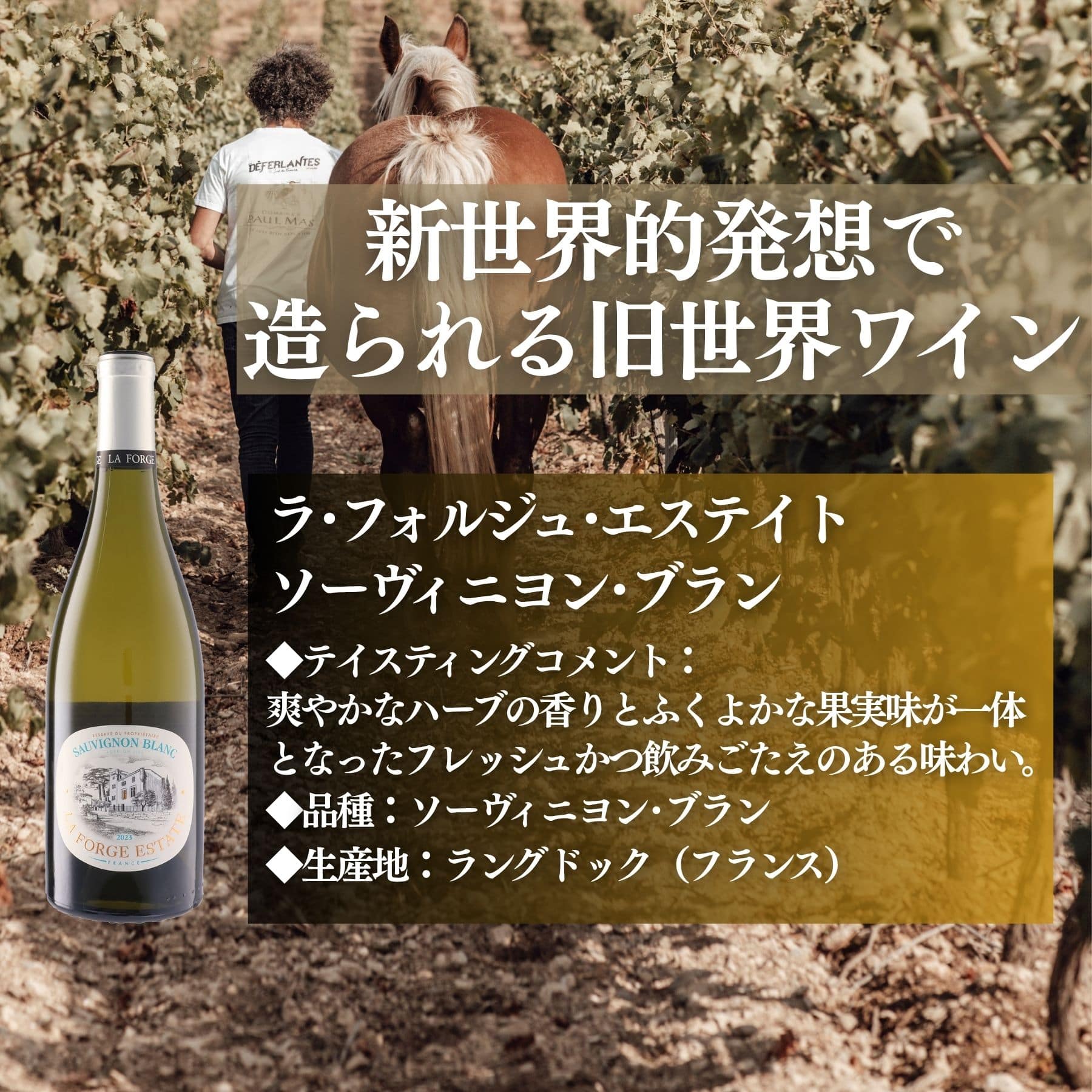 お値段以上