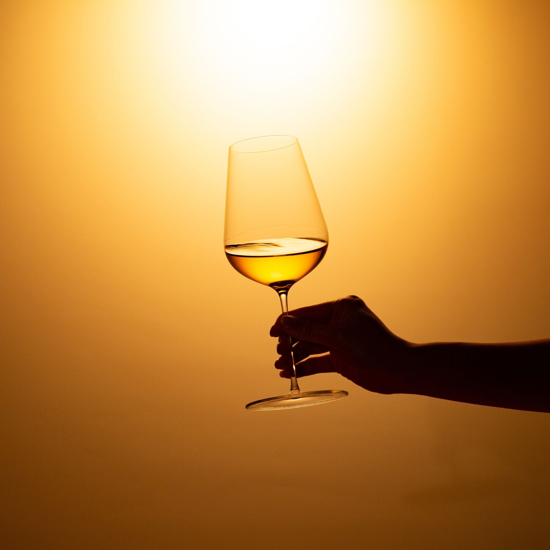 カンテサンス･デュ･プティ･マンサン ジュランソン･モワルー ハーフ