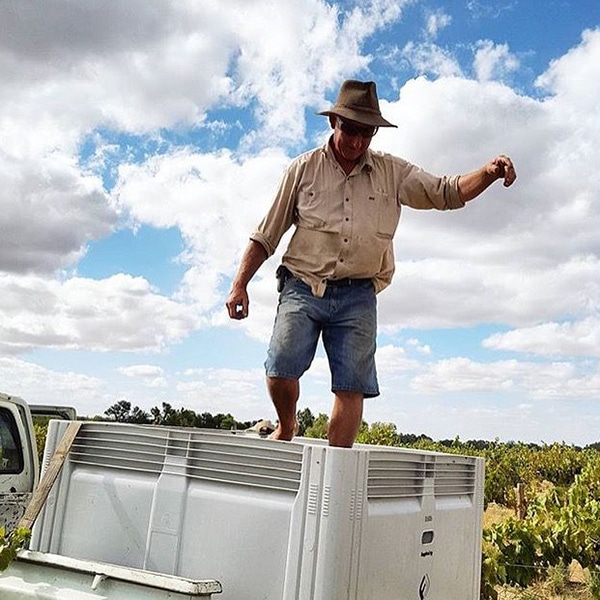 スモールフライの生産者