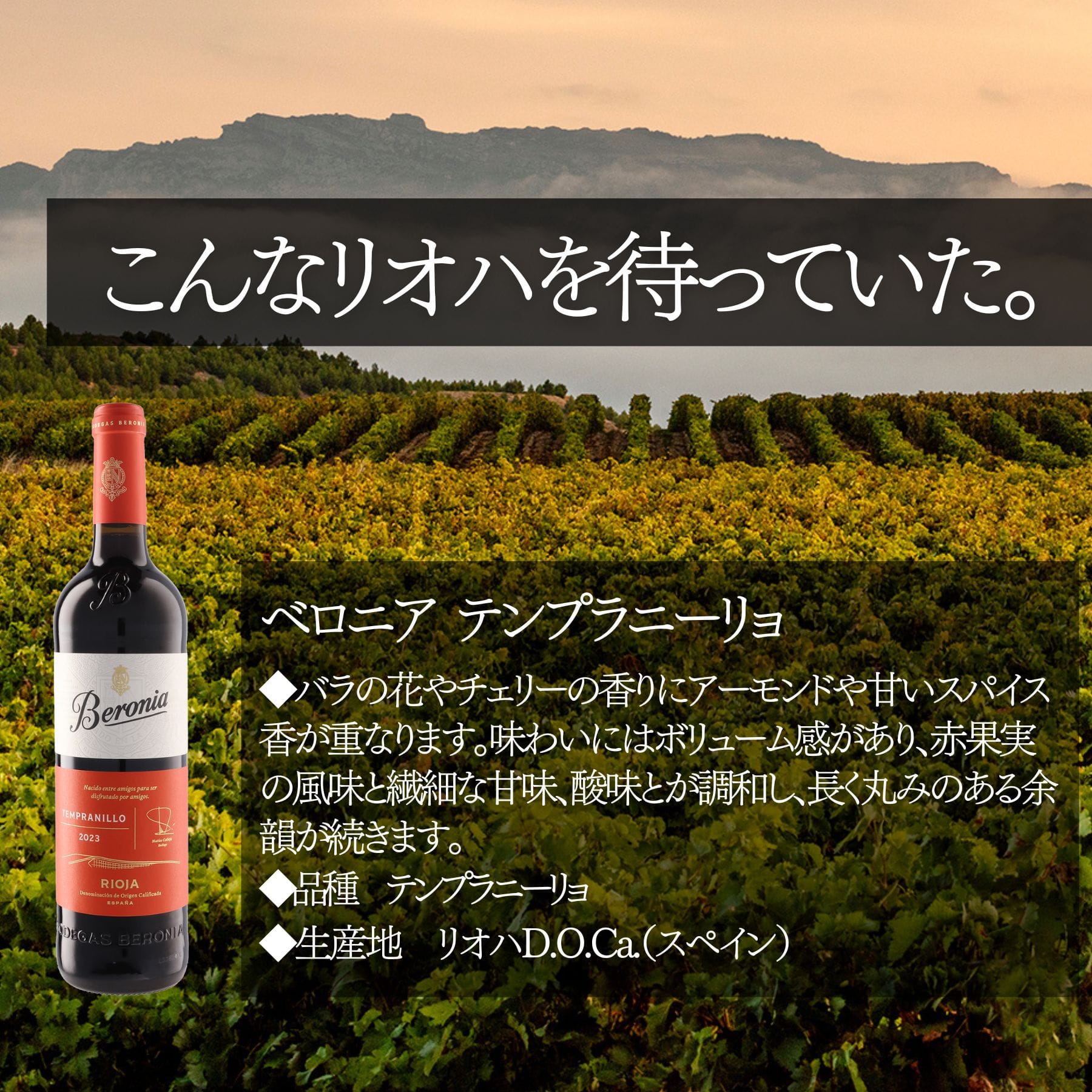 ソムリエ100人厳選