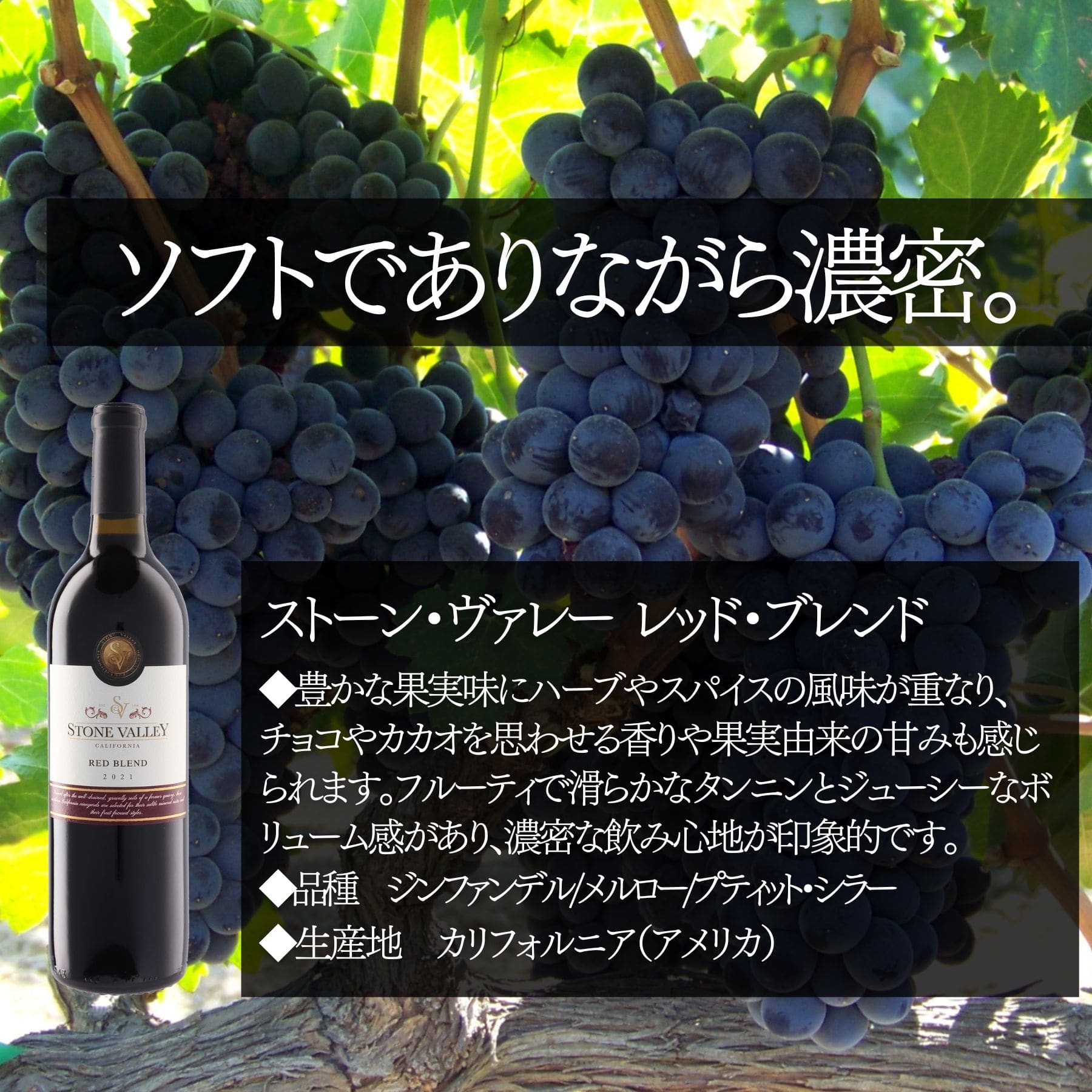 ソムリエ100人厳選