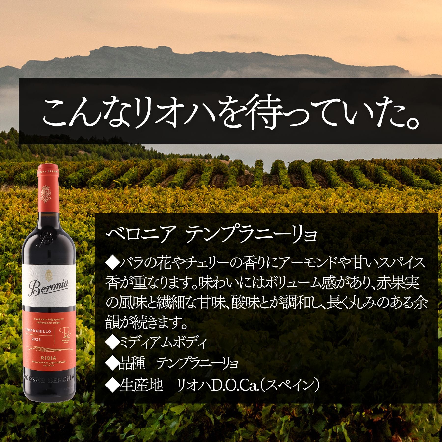 ソムリエ100人厳選