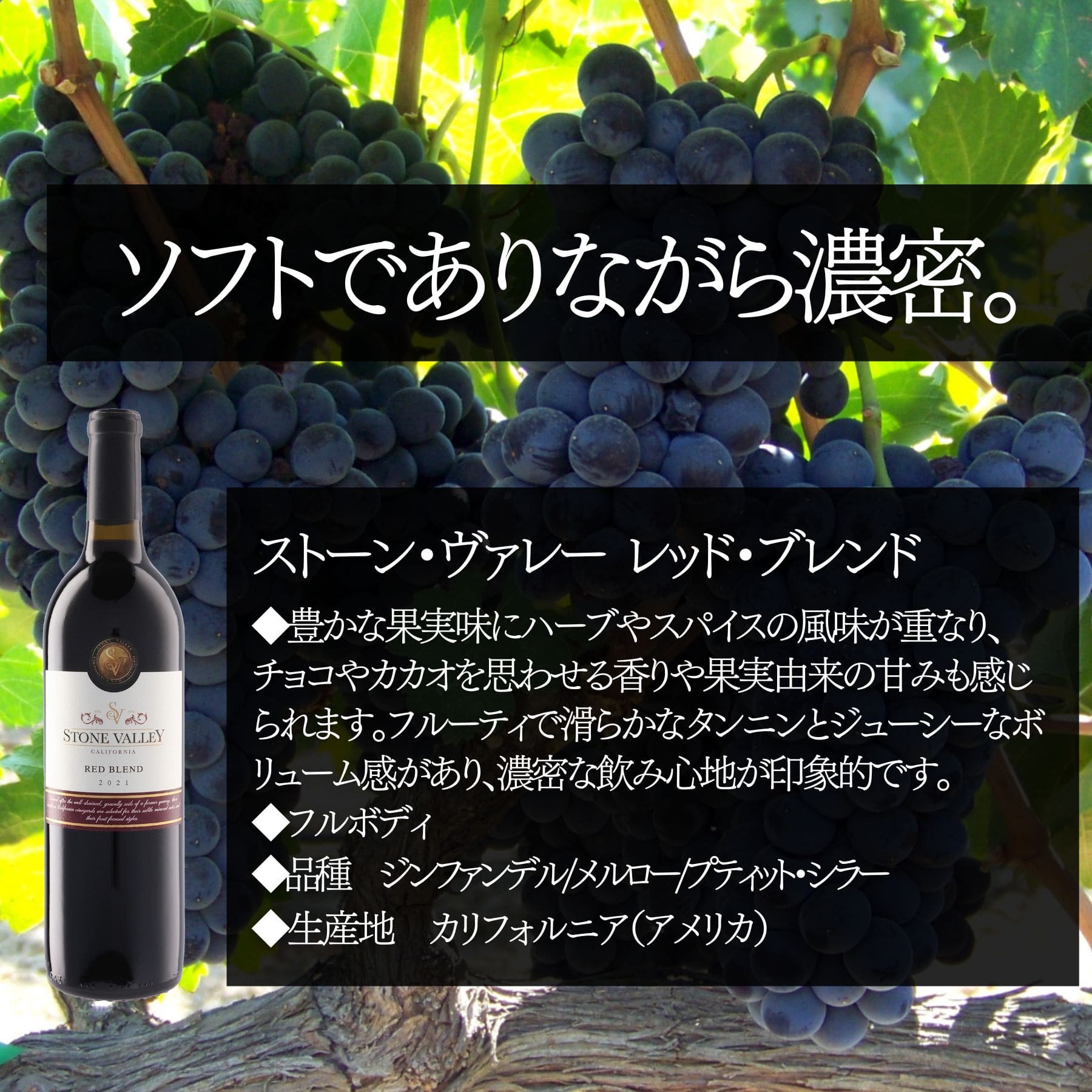 ソムリエ100人厳選