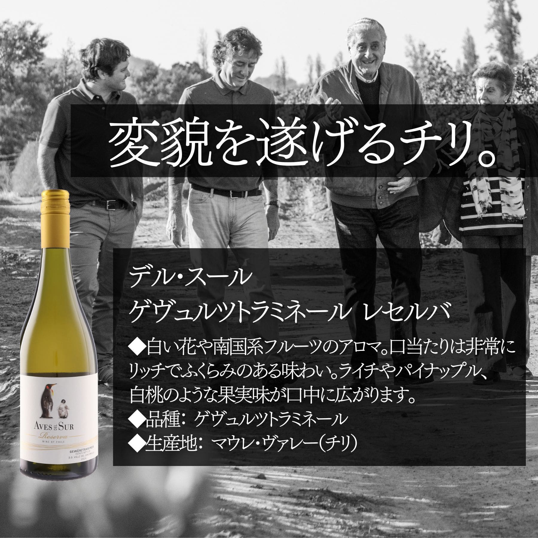 ソムリエ100人厳選