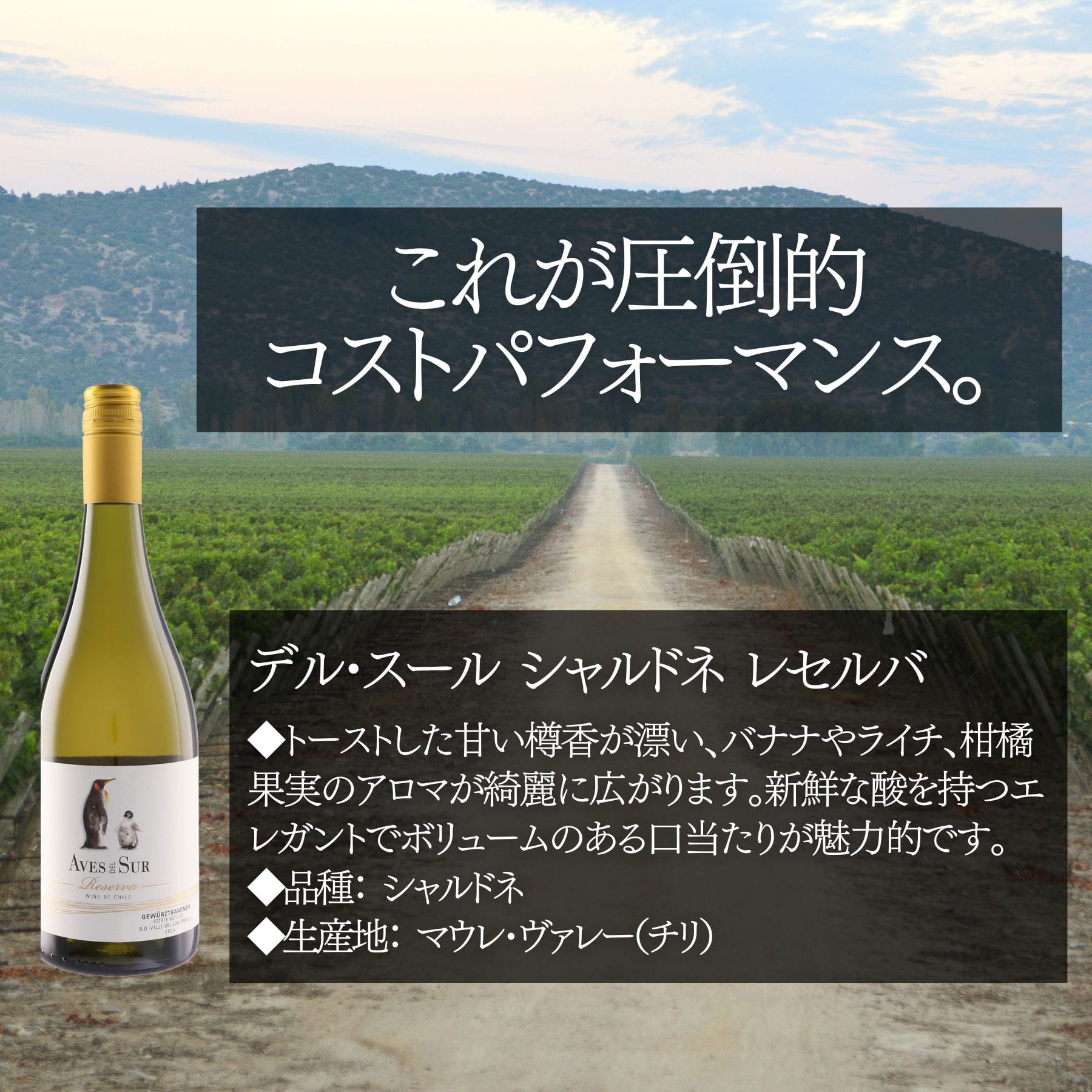 ソムリエ100人厳選