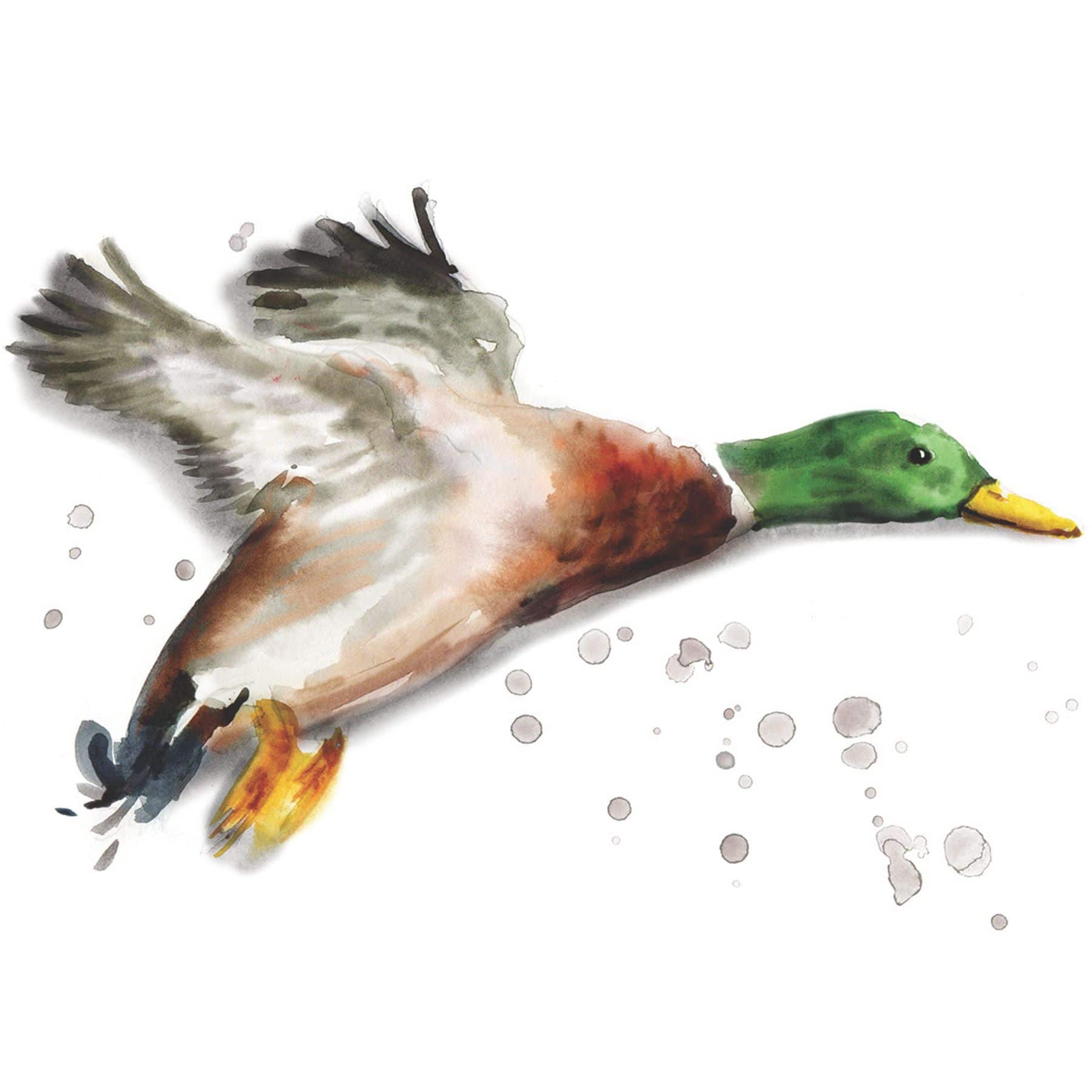 birdlabel