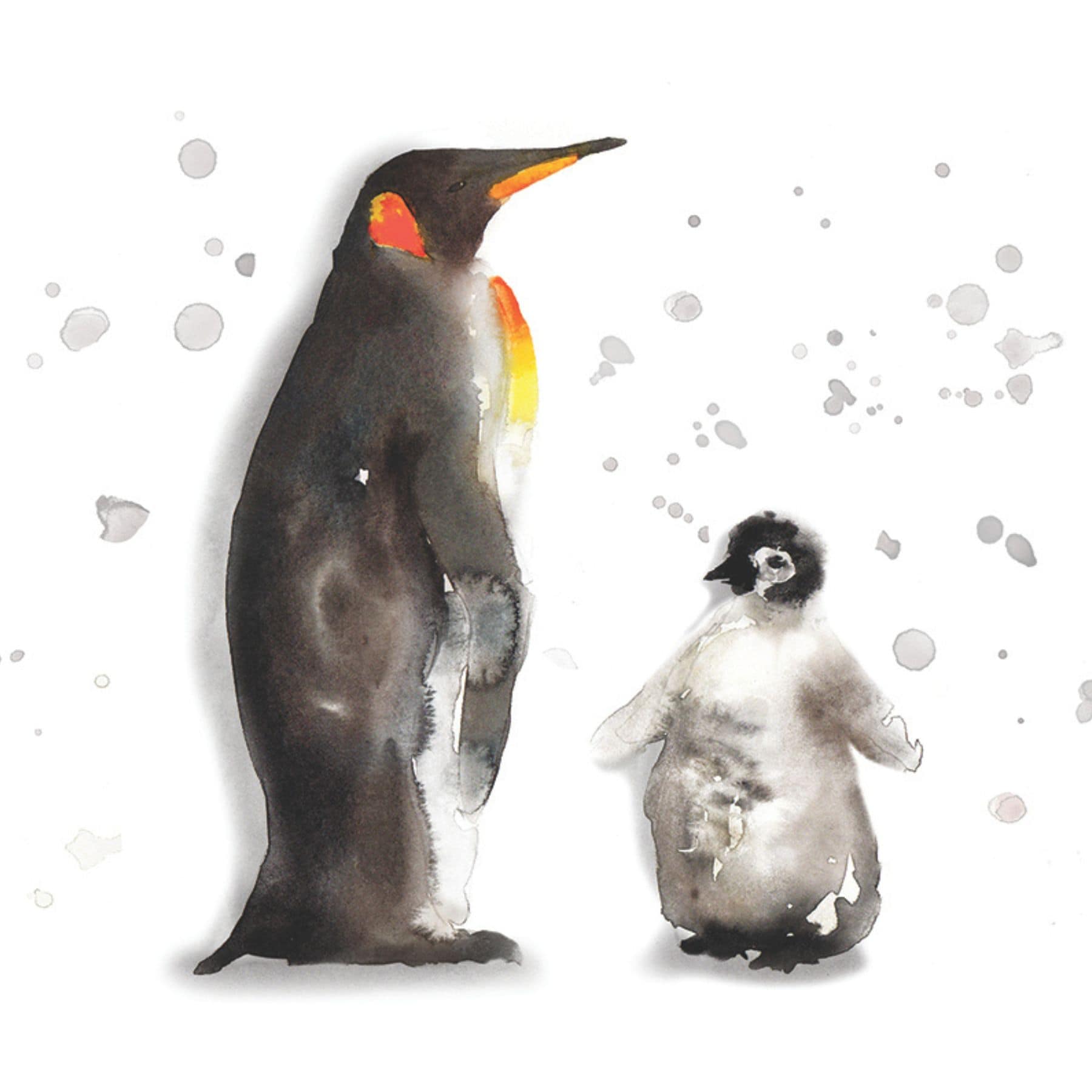 birdlabel
