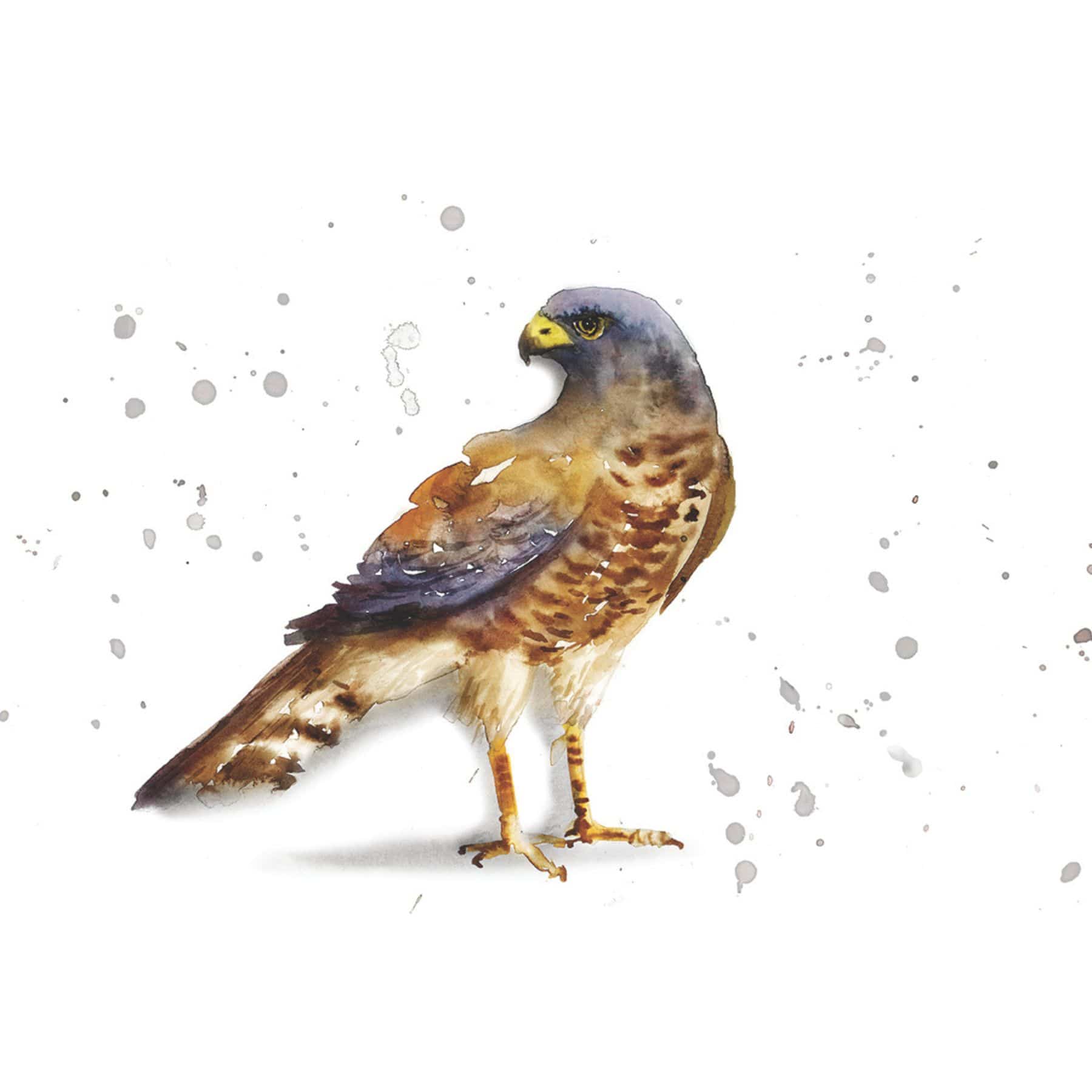 birdlabel