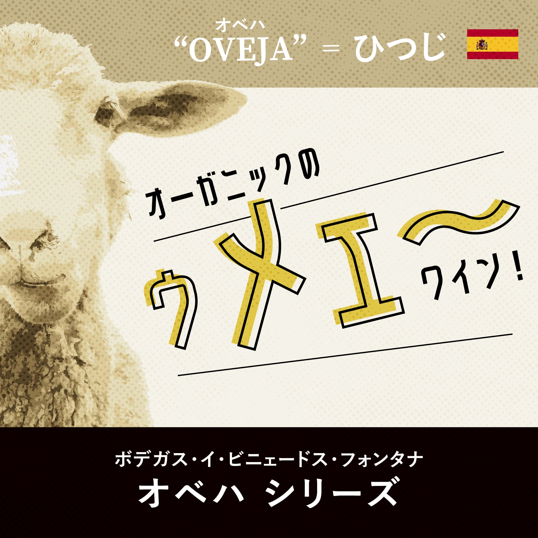 フォンタナ