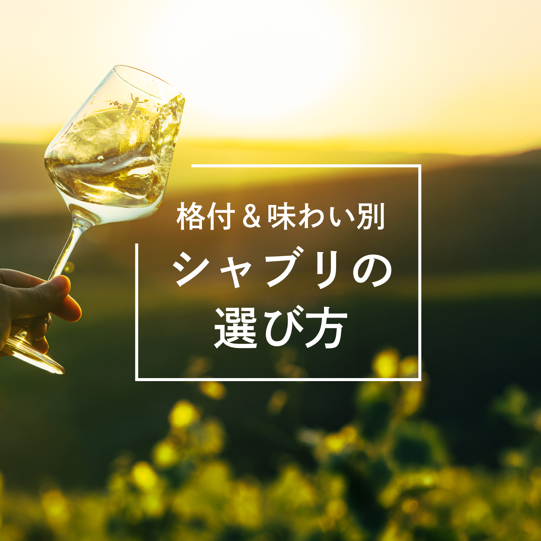 シャブリ特集
