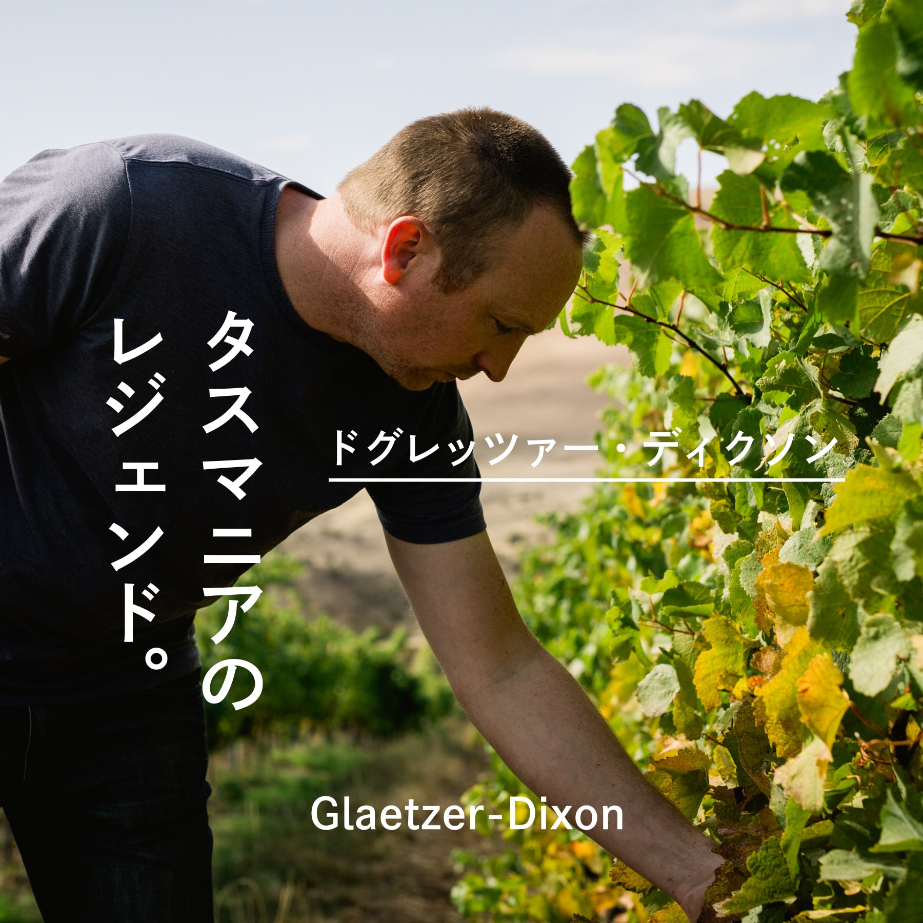 グレッツァー・ディクソン