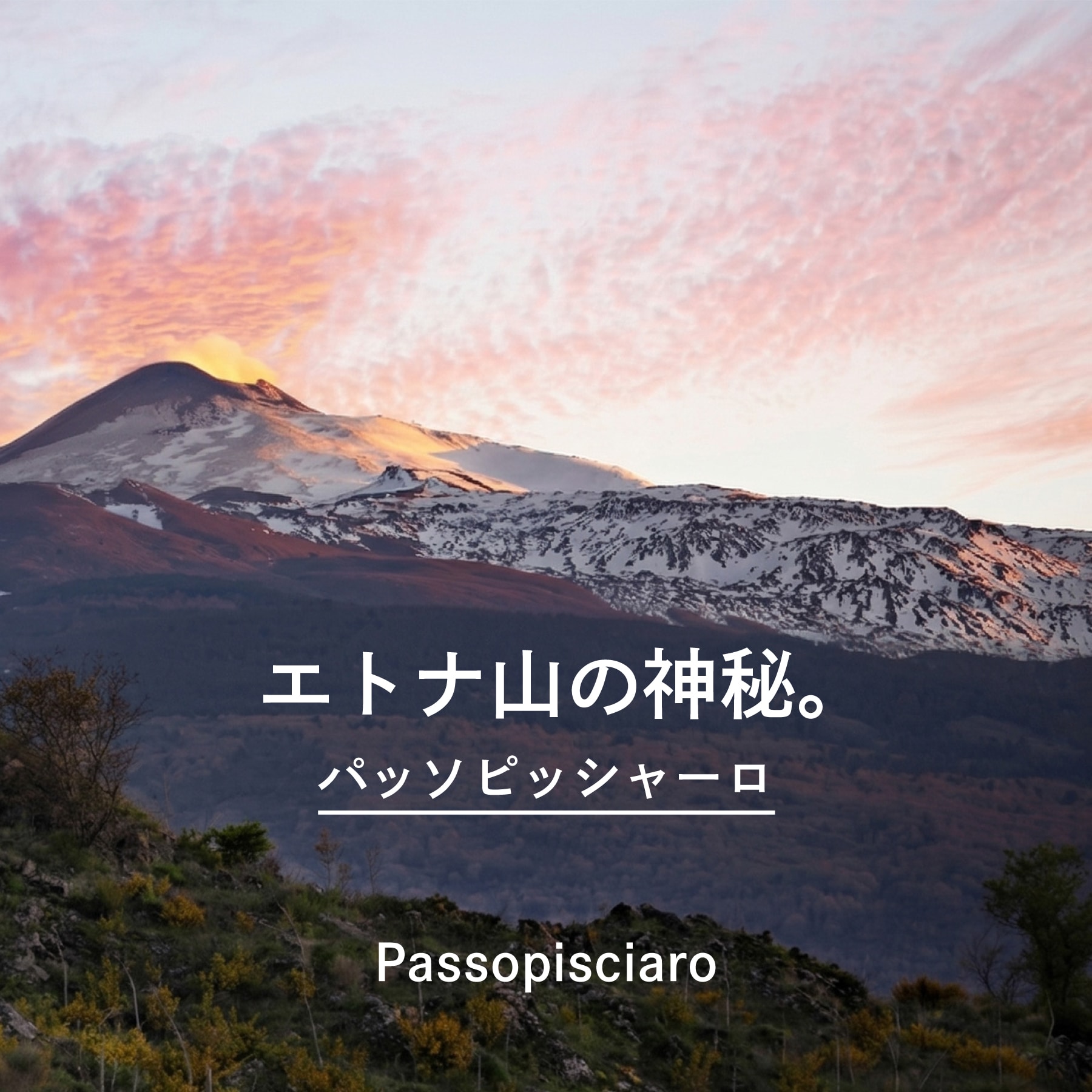 パッソピッシャーロ